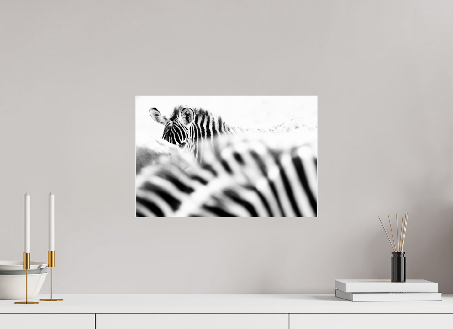 “Hidden in Stripes” – Black & White Zebra Fine Art Print